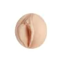 Masturbatore Fleshlight Alexis Texas di Fleshlight, Accessori e cappucci per masturbatori - Rif: M0401746, Prezzo: 56,86 €, S...