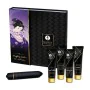 Naughty Geisha Pleasure Kit Shunga SECRET GEISHA COQUINE by Shunga, Kits - Ref: M0406169, Price: 21,47 €, Discount: %