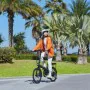 Bicicletta Elettrica Xiaomi QICYCLE 20" 250W Grigio 250 W 7500 mAh 20" di Xiaomi, Bici elettriche - Rif: S0451461, Prezzo: 94...