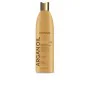 Après-shampooing Kativa Argan Oil de Kativa, Après-shampooings - Réf : M0119630, Prix : 10,65 €, Remise : %