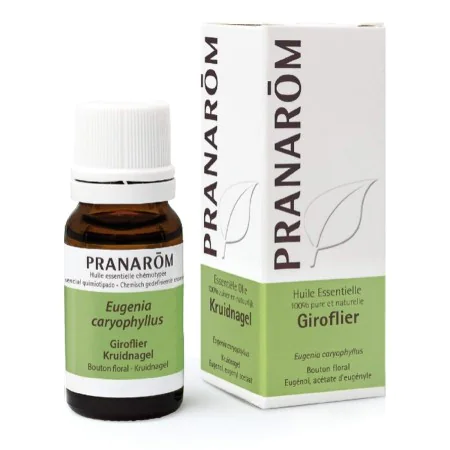 Essential oil Pranarôm Clove 10 ml by Pranarôm, Essential oils - Ref: S05115467, Price: 7,47 €, Discount: %