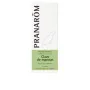 Óleo Essencial Pranarôm Cravinho 10 ml de Pranarôm, Óleos essenciais - Ref: S05115467, Preço: 7,49 €, Desconto: %