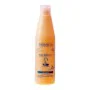 Non-Clarifying Conditioner Salerm (1000 ml) by Salerm, Conditioners - Ref: S0532842, Price: 50,48 €, Discount: %