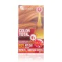 Cream Colourant N9,3 Azalea Color Total (200 g) (1 Unit) by Azalea, Permanent Colour - Ref: S0542883, Price: 6,78 €, Discount: %