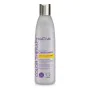 Conditionneur Raviveur de Couleur Blue Violet Anti-Yellow Effect Kativa (250 ml) de Kativa, Après-shampooings - Réf : S057443...