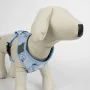 Dog Harness Stitch Light Blue S/M by Stitch, Harnesses - Ref: S0741630, Price: 13,95 €, Discount: %