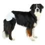 Nappies Trixie 23634 Dog M/L by Trixie, Nappies and sanitary mats - Ref: S0800253, Price: 10,38 €, Discount: %