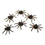 Décoration d'Halloween My Other Me Araignée Brillant (6 uds) (6 x 7 cm) de My Other Me, Halloween - Réf : S2418465, Prix : 5,...