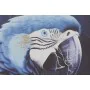 Painting Home ESPRIT Blue Black Golden Parrot Tropical 83 x 4 x 123 cm (2 Units) by Home ESPRIT, Prints on Canvas - Ref: S305...