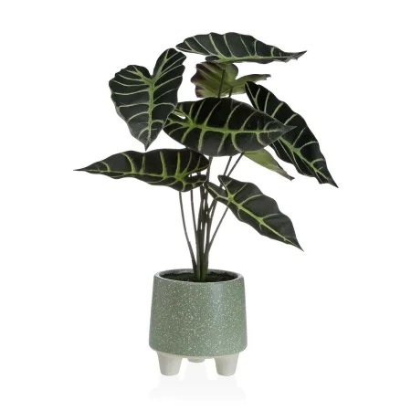 Planta Decorativa Versa Metal Cerâmica poliestireno Plástico 30 x 46 x 34 cm de Versa, Plantas - Ref: S3411664, Preço: 22,70 ...