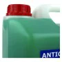 Antigel OCC Motorsport 20% Vert (5 L) de OCC Motorsport, Antigel pour système de refroidissement - Réf : S3702902, Prix : 9,1...