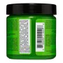 Teinture permanente Classic Manic Panic Panic Classic Electric Lizard (118 ml) de Manic Panic, Coloration permanente - Réf : ...