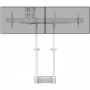 Wall Bracket Neomounts ADM-875WH2 White by Neomounts, Monitor Arms & Stands - Ref: S55249949, Price: 204,07 €, Discount: %