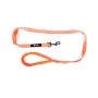 Dog Lead Gloria Orange S by Gloria, Leads - Ref: S6104241, Price: 8,18 €, Discount: %