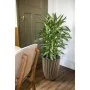 Plantador Capi Europe Dourado Plástico de Capi Europe, Vasos - Ref: S71008851, Preço: 163,85 €, Desconto: %