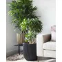 Plantador Capi Europe Preto Plástico Ø 43 cm de Capi Europe, Vasos - Ref: S71008857, Preço: 80,39 €, Desconto: %