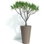 Cache-pot Garden ID de Garden ID, Cache-pots - Réf : S71009553, Prix : 93,75 €, Remise : %