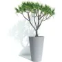 Cache-pot Garden ID de Garden ID, Cache-pots - Réf : S71009554, Prix : 88,11 €, Remise : %