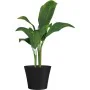 Cache-pot Garden ID de Garden ID, Cache-pots - Réf : S71009806, Prix : 93,75 €, Remise : %