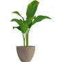 Cache-pot Garden ID de Garden ID, Cache-pots - Réf : S71009810, Prix : 89,04 €, Remise : %