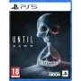 Videogioco PlayStation 5 Sony Until Dawn di Sony, Set accessori - Rif: S71010044, Prezzo: 95,71 €, Sconto: %