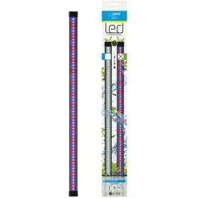 Bandes LED Marshall CIANO CLN5 8 W de Marshall, Rubans à LED - Réf : S7139212, Prix : 55,77 €, Remise : %