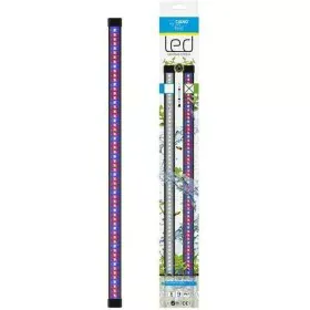 Bandes LED Marshall CIANO CLN5 8 W de Marshall, Rubans à LED - Réf : S7139212, Prix : 55,77 €, Remise : %