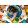 Activity centre Baby Einstein 10504-1 by Baby Einstein, Activity Centres - Ref: S7150972, Price: 105,23 €, Discount: %