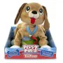 Mascota Interactiva Giochi Preziosi Peppy Pops Chien Marron de Giochi Preziosi, Mascotas electrónicas - Ref: S7158666, Precio...