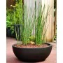 Pot Riviera RIVIERA Noir Ø 40 cm de Riviera, Pots de fleurs - Réf : S7164859, Prix : 33,61 €, Remise : %