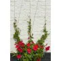 Separator Nature Grey Metal by Nature, Decorative Fences - Ref: S7187500, Price: 32,86 €, Discount: %