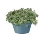 Plant pot Elho Loft Urban Blue polypropylene Circular Ø 35 cm by Elho, Flower Pots - Ref: S7193540, Price: 32,22 €, Discount: %