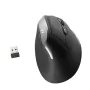 Ergonomic Optical Mouse Ewent EW3229 Black by Ewent, Mice - Ref: M0306923, Price: 18,94 €, Discount: %