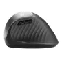 Ergonomic Optical Mouse Ewent EW3229 Black by Ewent, Mice - Ref: M0306923, Price: 18,94 €, Discount: %