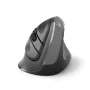 Ergonomic Optical Mouse Ewent EW3229 Black by Ewent, Mice - Ref: M0306923, Price: 18,94 €, Discount: %