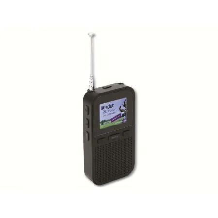 Radio Denver Electronics DAH-126 Black by Denver Electronics, Radios - Ref: S7784690, Price: 32,68 €, Discount: %