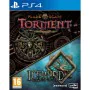 Jeu vidéo PlayStation 4 Meridiem Games Planescape: Torment & Icewind Dale E.E de Meridiem Games, Sets - Réf : S7801833, Prix ...