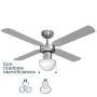 Ventilador de Teto com Luz EDM 33801 Caribe Prateado 50 W de EDM, Ventoinhas de teto com candeeiro - Ref: S7900597, Preço: 73...