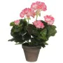 Decorative Plant Mica Decorations PVC Geranium (11,5 x 33 cm) by Mica Decorations, Artificial Plants - Ref: S7901870, Price: ...