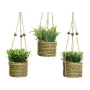 Planta Decorativa Everlands 8 x 12 cm Colar Corda Verde PVC de Everlands, Plantas - Ref: S7904403, Preço: 8,26 €, Desconto: %