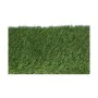 Astro-turf EDM gracefull (1 x 5 m) by EDM, Grass - Ref: S7904541, Price: 84,66 €, Discount: %