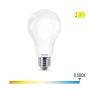 LED lamp Philips D 120 W 13 W E27 2000 Lm 7 x 12 cm (6500 K) by Philips, LED Bulbs - Ref: S7907770, Price: 10,65 €, Discount: %