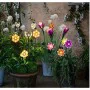 Luz solar Lumineo Flor Solar 11 x 6 x 49,5 cm Multicolor de Lumineo, Lâmpadas solares - Ref: S7911096, Preço: 10,58 €, Descon...