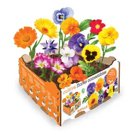 Conjunto de Cultivo Batlle Bloemen Comestível 19 x 19 x 10 cm de Batlle, Kits de cultivo em casa - Ref: S7911864, Preço: 10,4...