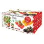 Set de culture Batlle Tomates naturelles 30 x 19,5 x 16,2 cm de Batlle, Kits prêt-à-pousser - Réf : S7911866, Prix : 14,87 €,...