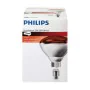 Ampoule infrarouge Philips 923212043801 250 W E27 de Philips, Ampoules à usage spécifique - Réf : S7915567, Prix : 18,08 €, R...