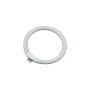 Tubo fluorescente EDM 30287 Recambio Circular T4 Blanco 12 W (6500 K) de EDM, Tubos fluorescentes y de neón - Ref: S7921000, ...