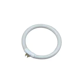 Tubo fluorescente EDM 30287 Recarga Circular T4 Branco 12 W (6500 K) de EDM, Tubos fluorescentes e de neón - Ref: S7921000, P...