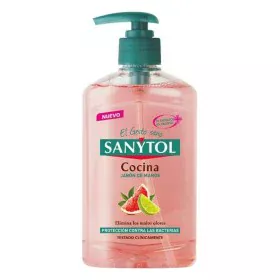 Jabón de Manos con Dosificador Sanytol 280120 Cocina 250 ml de Sanytol, Jabónes de manos - Ref: S7921136, Precio: 4,94 €, Des...