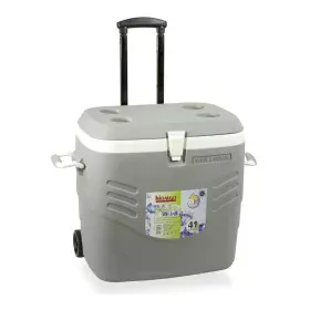 Portable Rigid Cooler Hidalgo Premium Grey 41 L by Hidalgo, Refrigerators - Ref: S7922561, Price: 74,25 €, Discount: %